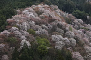 吉水神社