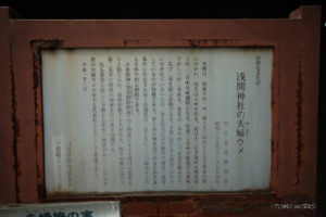 甲斐国一宮 浅間神社