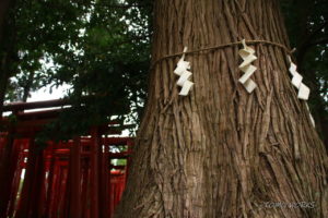 多田朝日森稲荷神社