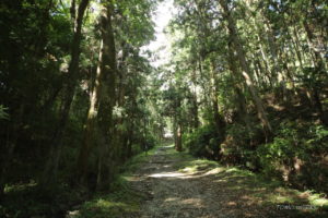 上一宮大粟神社