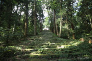 上一宮大粟神社