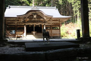 上一宮大粟神社