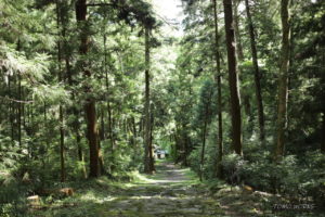上一宮大粟神社